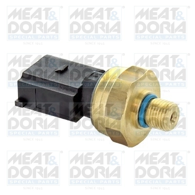 Sensor, fuel pressure